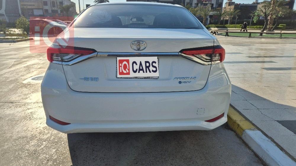 تويوتا كورولا